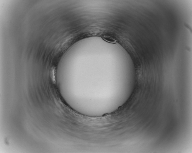 X0000099560042200805301550