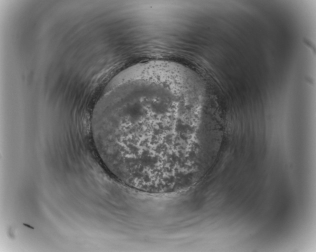 X0000099560043200805301550