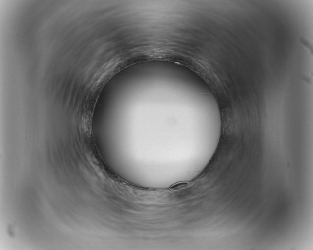 X0000099560044200805301550