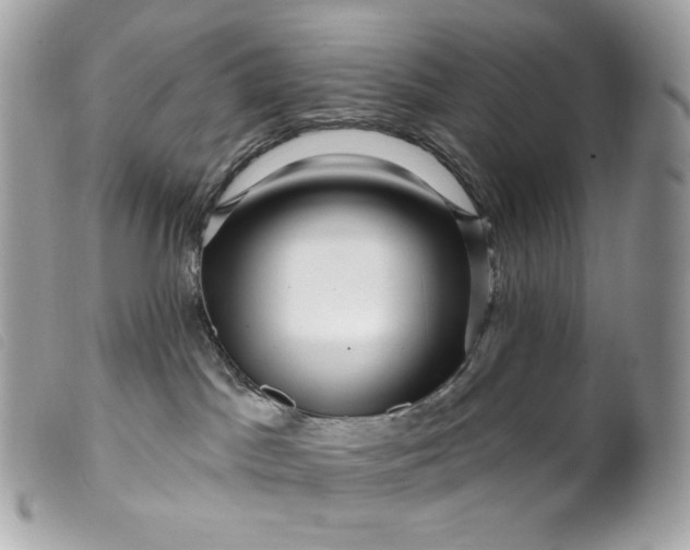 X0000099560045200805301550