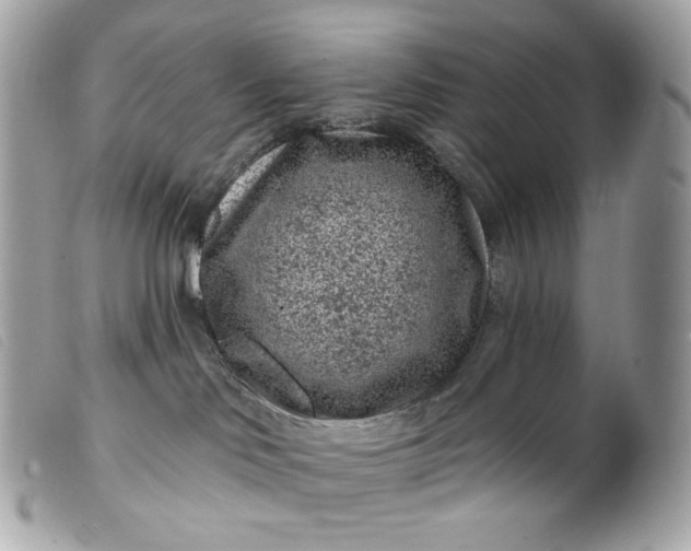 X0000099560046200805301550