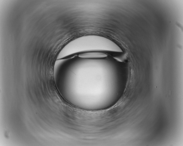 X0000099560048200805301550