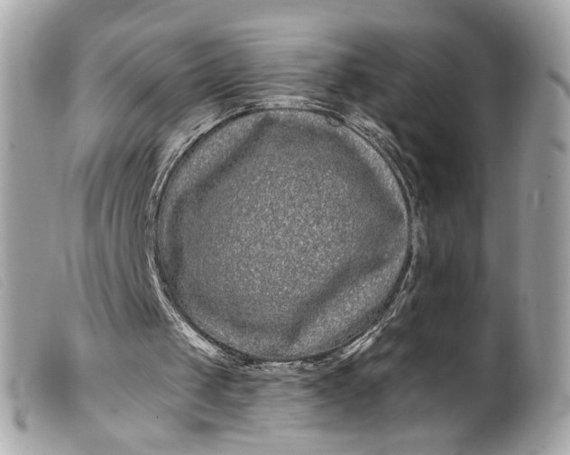 X0000099560049200805301550