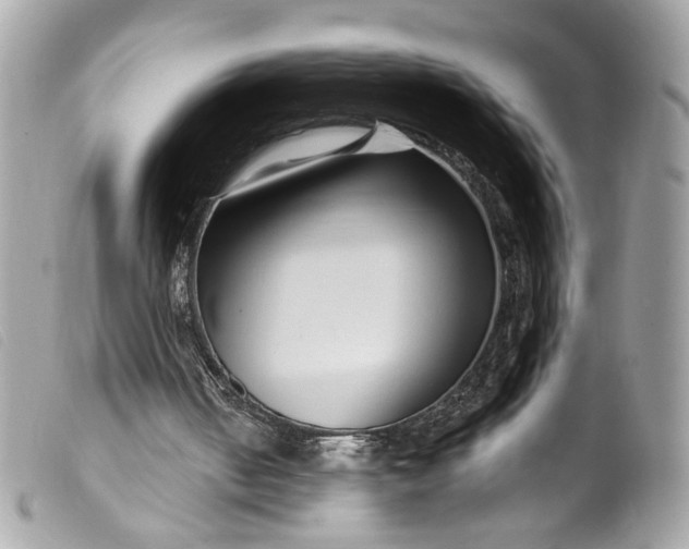 X0000099560050200805301550