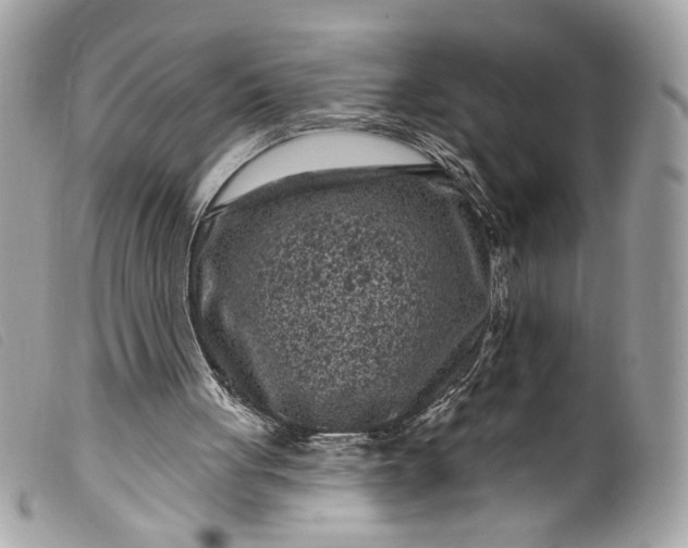 X0000099560051200805301550