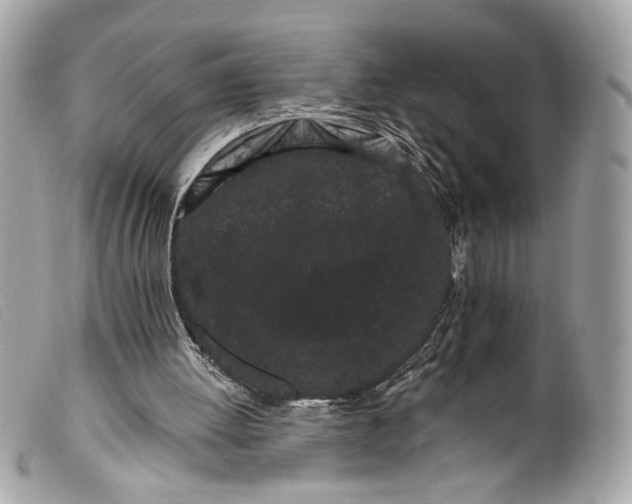 X0000099560052200805301550