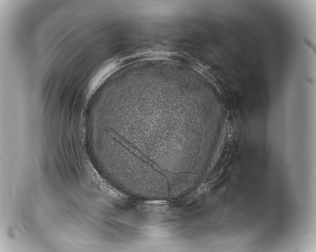 X0000099560053200805301550