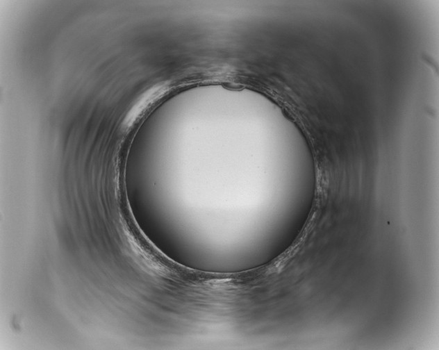 X0000099560054200805301550