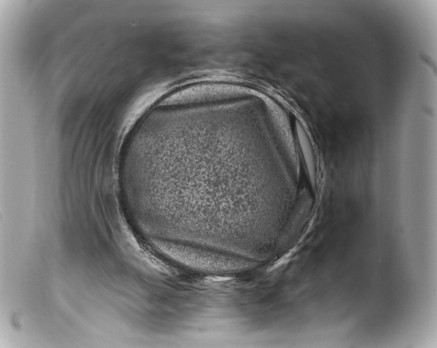 X0000099560055200805301550