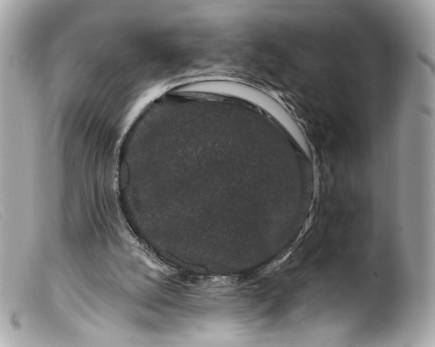 X0000099560056200805301550