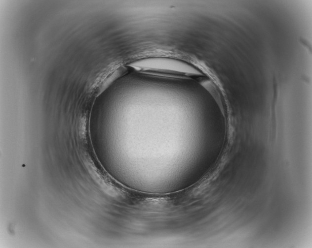 X0000099560057200805301550