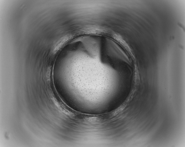 X0000099560058200805301550