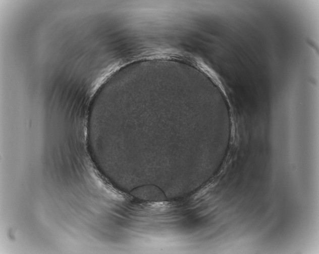 X0000099560059200805301550