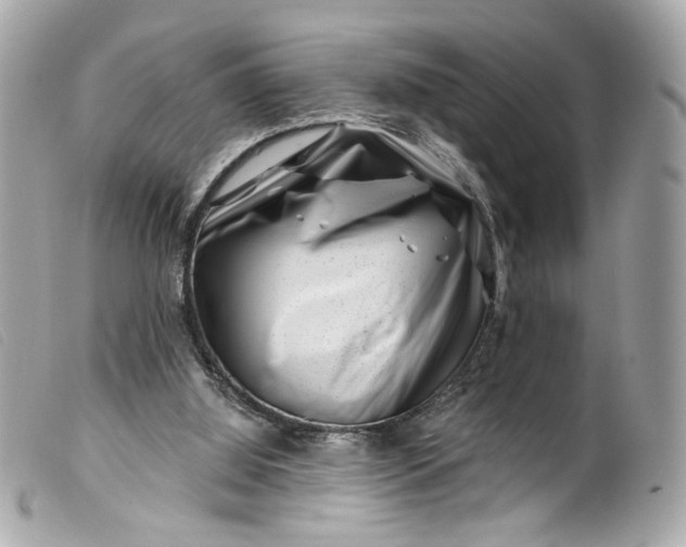 X0000099560060200805301550