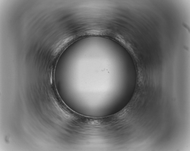 X0000099560062200805301550