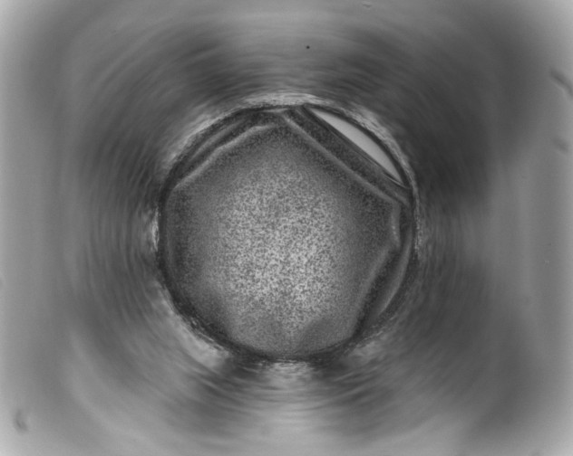 X0000099560063200805301550