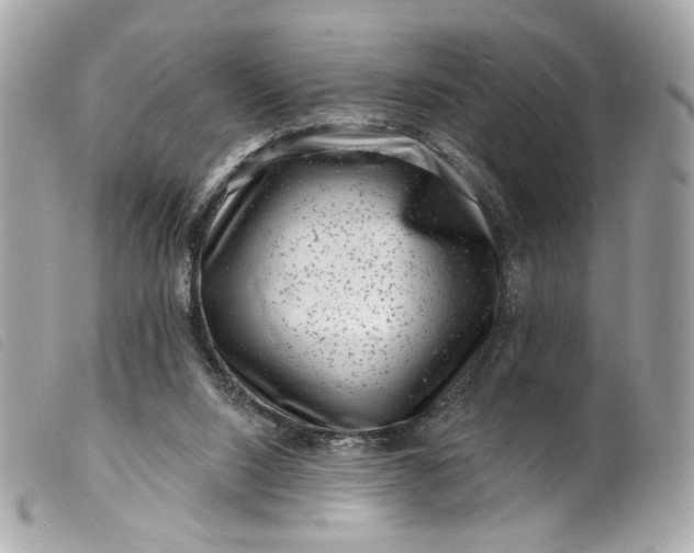 X0000099560064200805301550