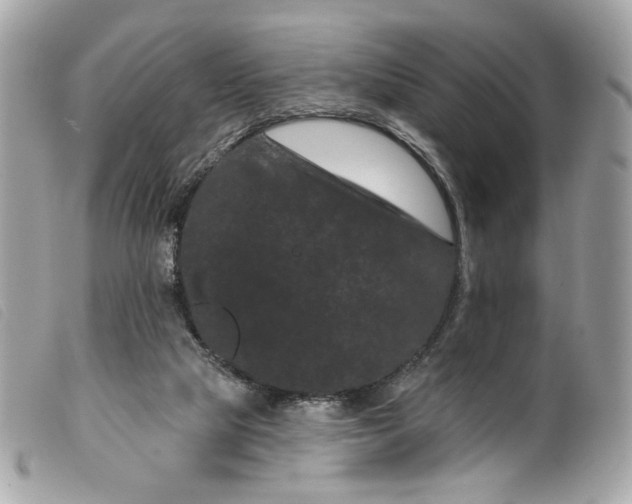 X0000099560065200805301550