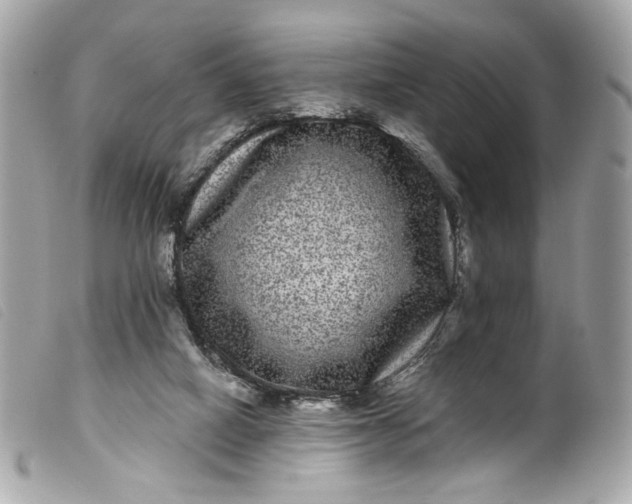 X0000099560066200805301550