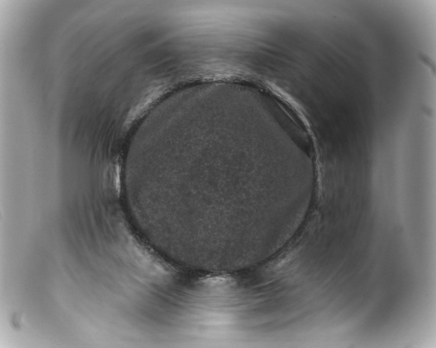 X0000099560067200805301550