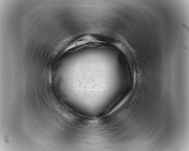 X0000099560068200805301550