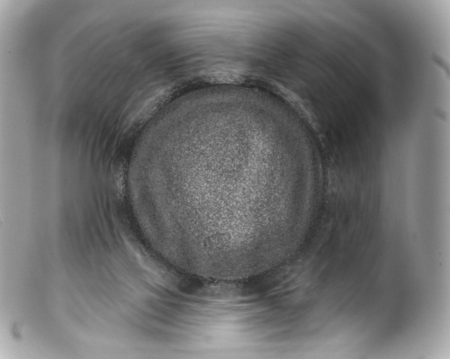 X0000099560069200805301550