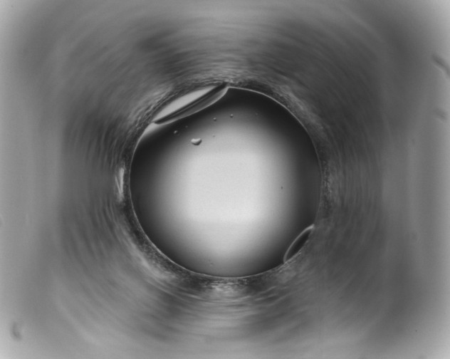 X0000099560070200805301550