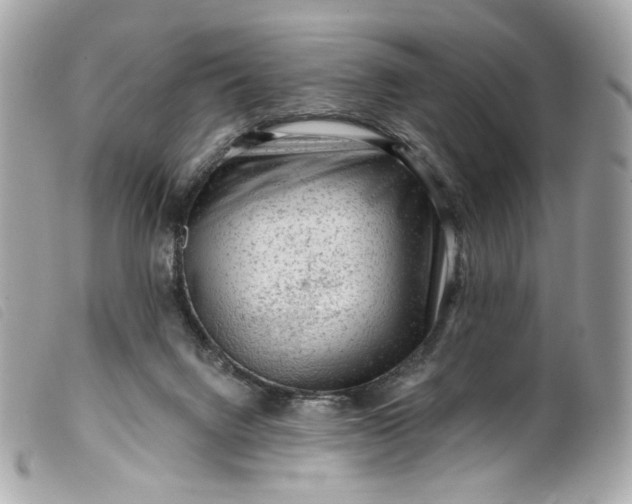 X0000099560072200805301550