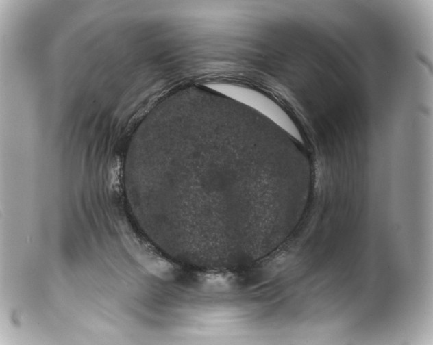 X0000099560073200805301550