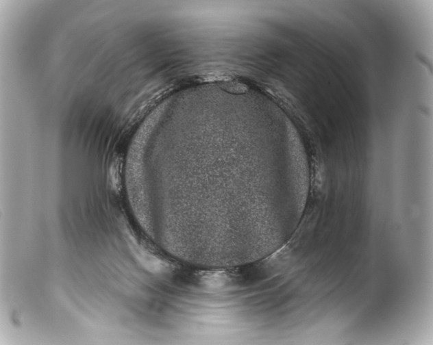 X0000099560074200805301550