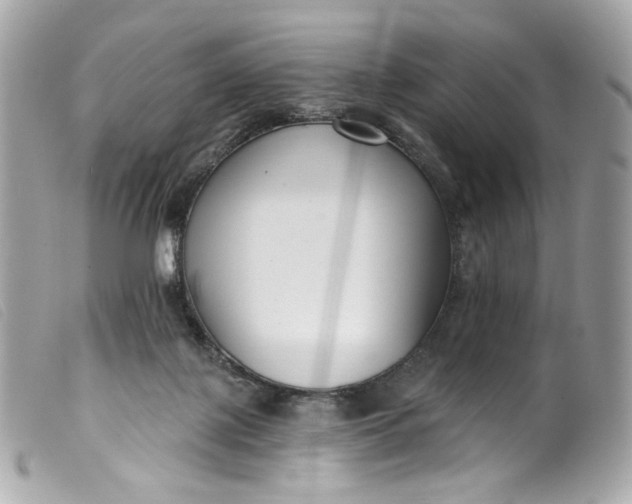 X0000099560075200805301550