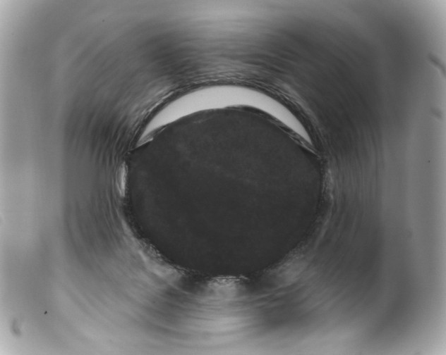 X0000099560076200805301550