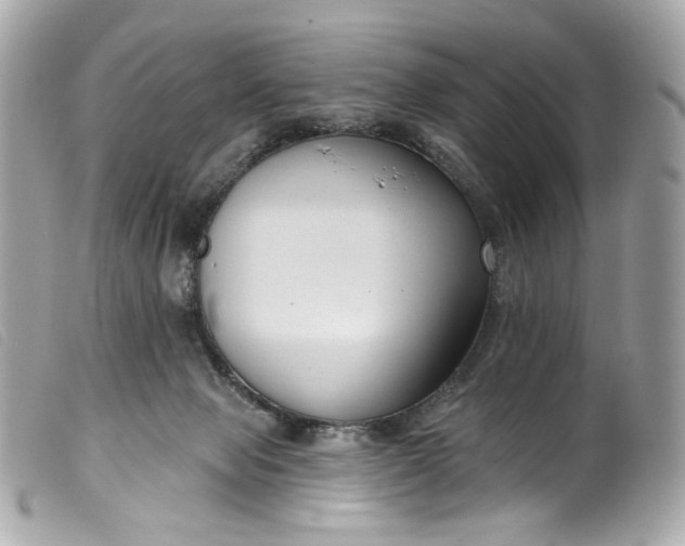 X0000099560077200805301550