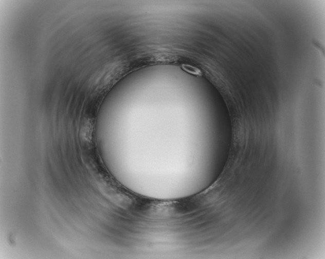 X0000099560078200805301550