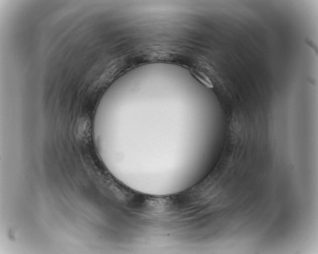 X0000099560079200805301550