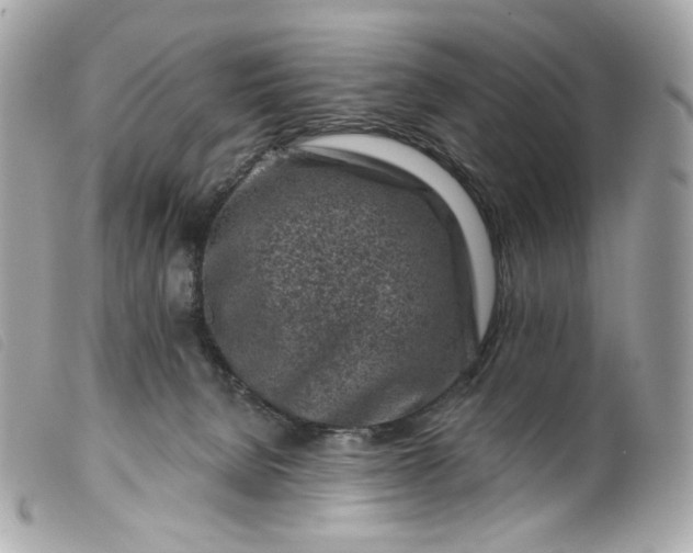 X0000099560080200805301550