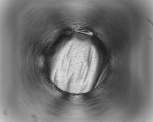 X0000099560081200805301550