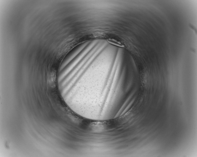 X0000099560082200805301550