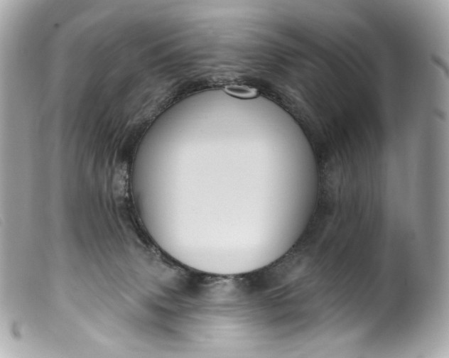 X0000099560083200805301550