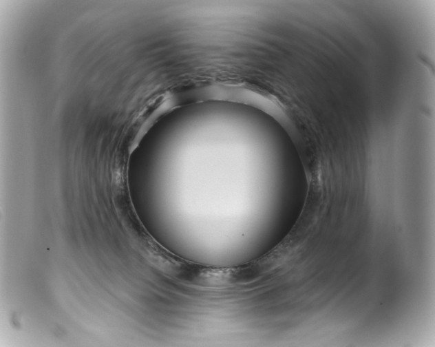 X0000099560084200805301550