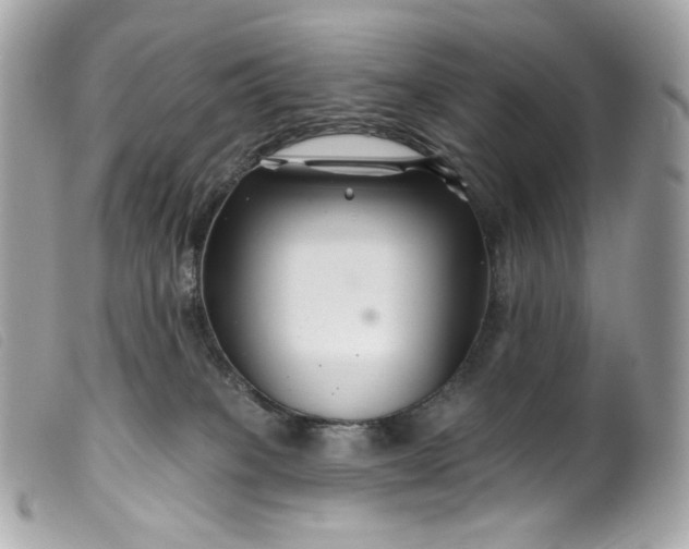 X0000099560085200805301550