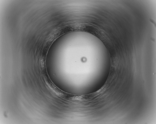 X0000099560086200805301550