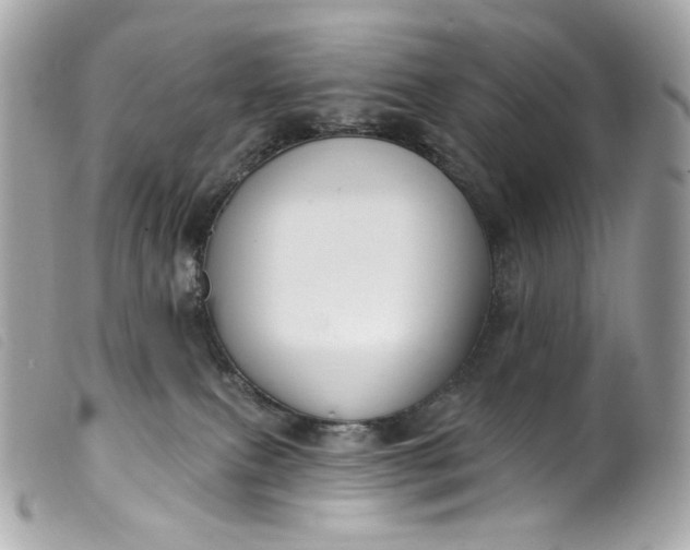 X0000099560087200805301550