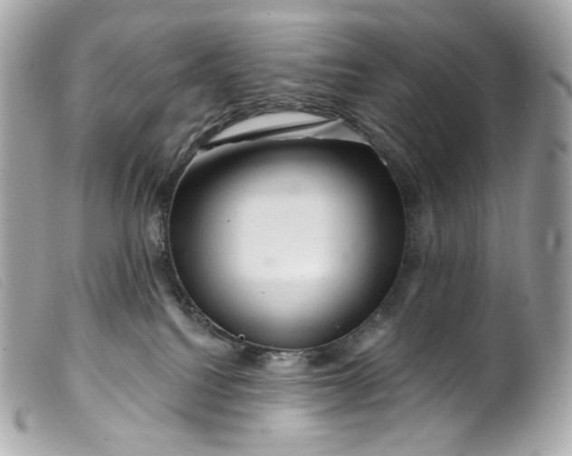 X0000099560088200805301550