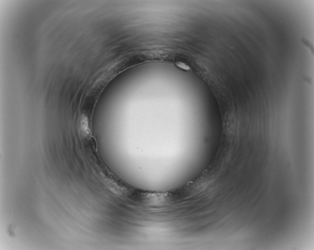 X0000099560089200805301550