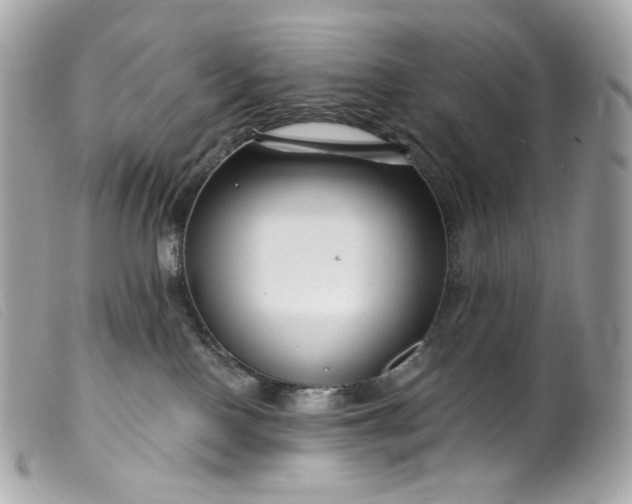 X0000099560090200805301550