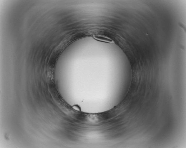 X0000099560091200805301550