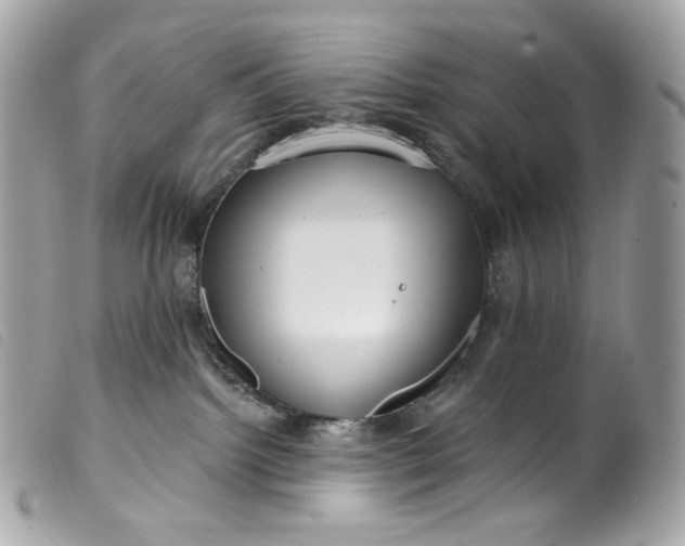 X0000099560092200805301550