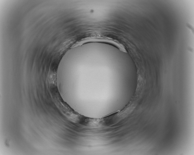 X0000099560096200805301550