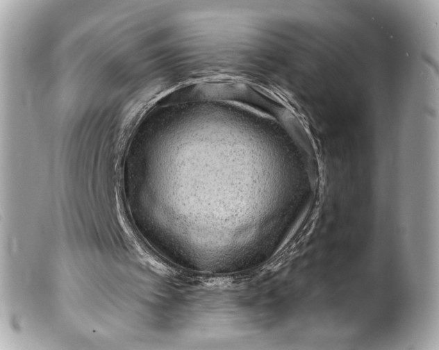 X0000099560097200805301549